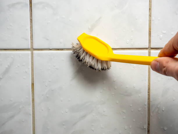 Certified Mold Removal in Blacksburg, SC