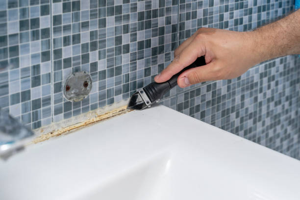 Best Certified Mold Removal  in Blacksburg, SC